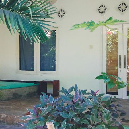 Bed and Breakfast Cafe Des Arts Gili Air Exterior foto